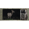 Фотопастка Suntek HC 900M з GSM модулем G2/G3/G4, нічною зйомкою та датчиком руху.