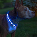 Светодиодный LED ошейник USB светящийся для собак и котов Blue S