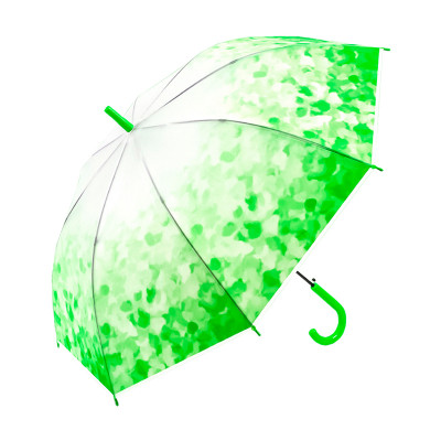 Женский зонт RST Japanese style Green