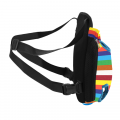 Рюкзак- кенгуру для животных DT834 Rainbow M
