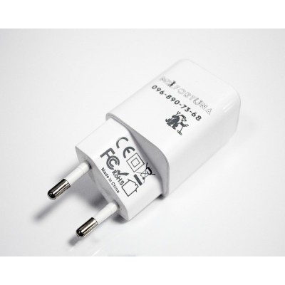Зарядний пристрій для металошукачів MD Fortuna 30W (USB + Type-C)