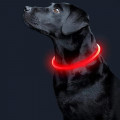 Светодиодный LED ошейник L-18 USB светящийся водоотталкивающий для собак и котов  Red M