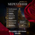 Електрична гірлянда Зірка штора 3*0,9 м 12 на вікно для фотозон синя WYF11BL