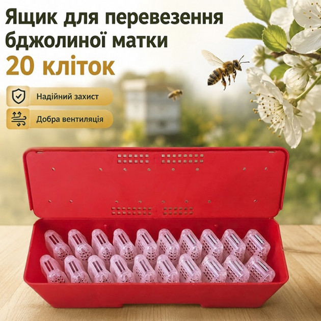 Ящик для транспортировки пчелиной матки с клетками для разведения перевозки инкубации 20 клеток