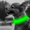 Светодиодный LED ошейник USB светящийся для собак и котов Green L