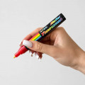 Маркер для мечения пчелиных маток QT-008 Red