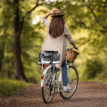 Сумка велосипедная на багажник West Biking 0707209 Gray