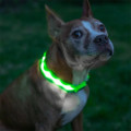 Светодиодный LED ошейник USB светящийся для собак и котов Green S