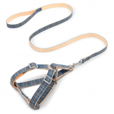 Шлея для собак с поводком Pipitao 165510 Cage Blue 1.5*120 cm