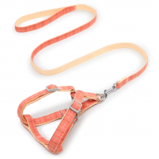 Шлея для собак с поводком Pipitao 165510 Cage Peach 1*120 cm