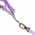 Шлея для собак или кошек с поводком Taotaopets 171120 Purple L (2.0 cm)