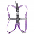 Шлея для собак или кошек с поводком Taotaopets 171120 Purple M (1.5 cm)